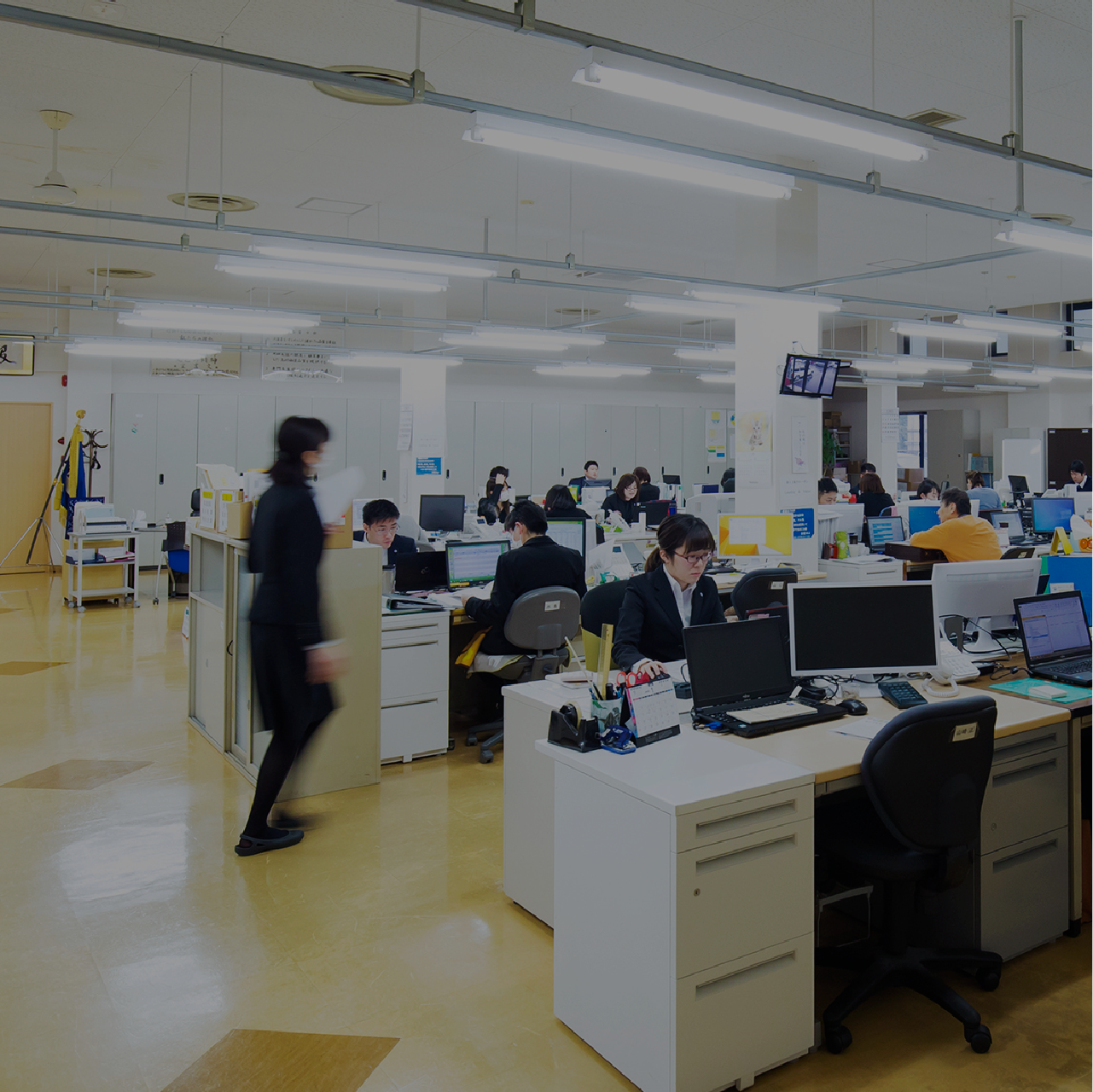 CULTURE & CARRER 環境・キャリア